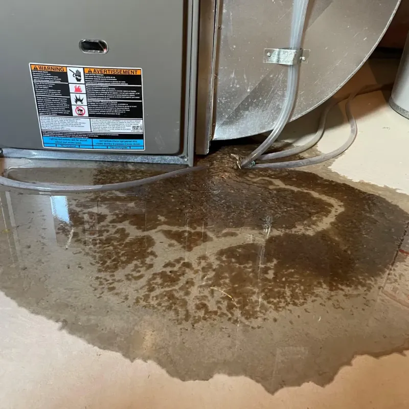 Appliance Leak Cleanup in West Greenwich, RI